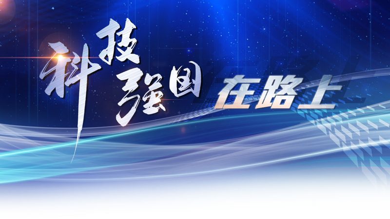 数据服务制作方法：揭秘高效数据服务构建之道