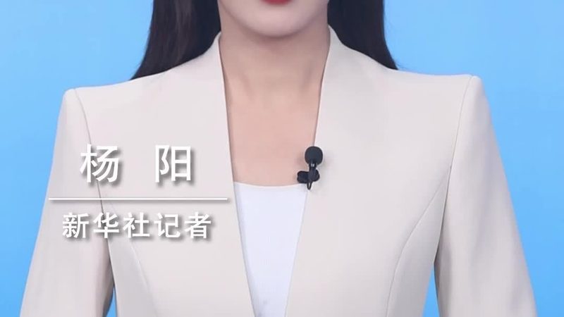 数据可视化图表类型：如何选择合适的工具展现参数